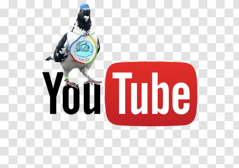 YouTube Live Streaming Media Television Show Video - Knowing - Youtube Transparent PNG