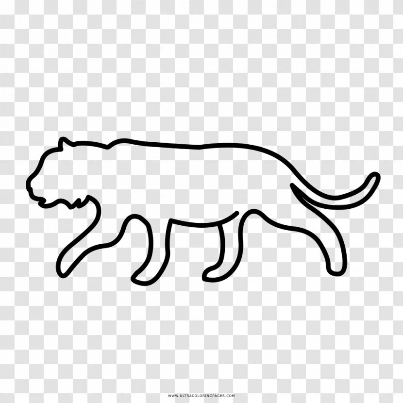 Lion Tiger Black And White Leopard Drawing - National Olympic Committee Transparent PNG