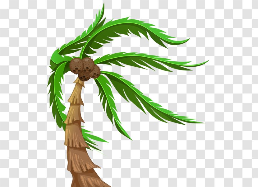 Arecaceae Coconut Tree Clip Art - Grass Transparent PNG