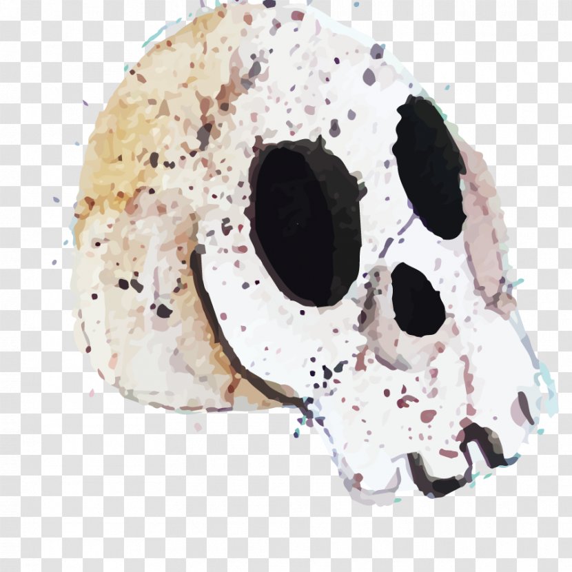 Calavera Halloween Skull Euclidean Vector - People Bones Transparent PNG