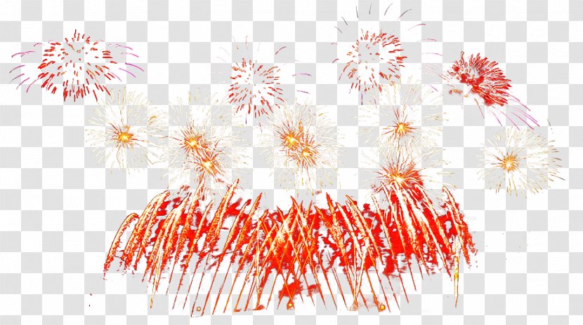 Fireworks Red Event Recreation Holiday Transparent PNG
