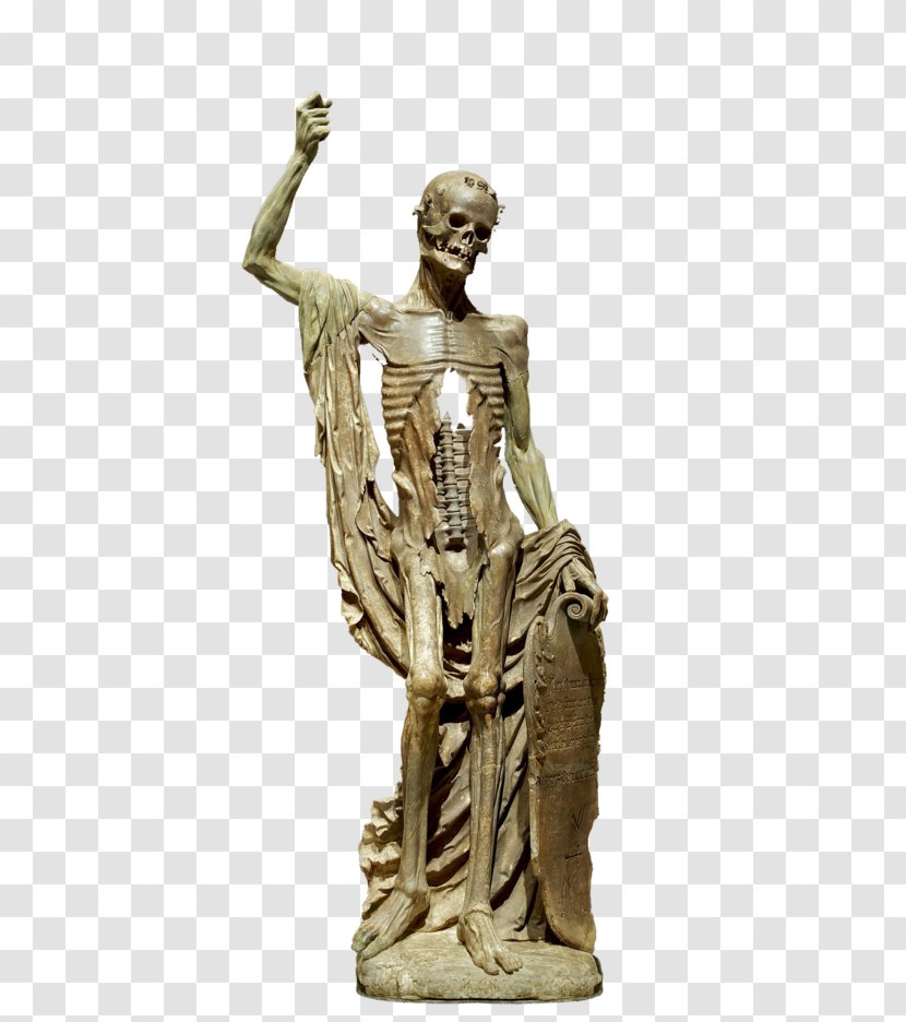 Skeleton Statue Martwa Natura Z Czaszką - Stone Carving Transparent PNG