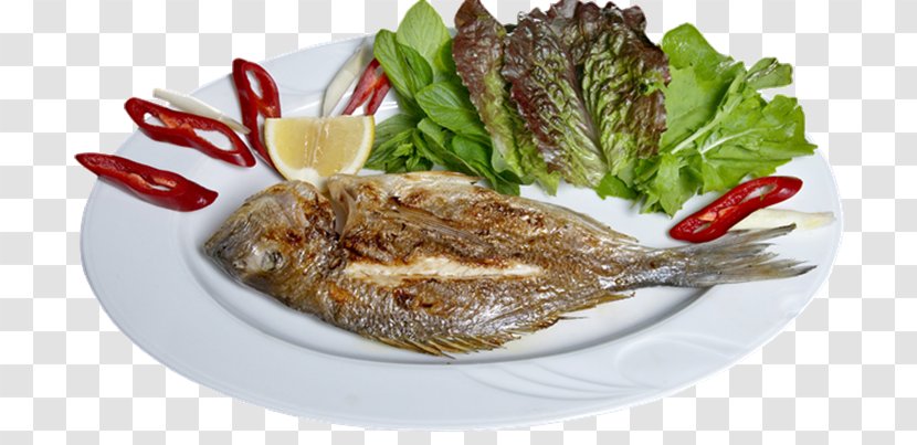 Beyti Kebab Vegetarian Cuisine Fish Doner - Platter Transparent PNG