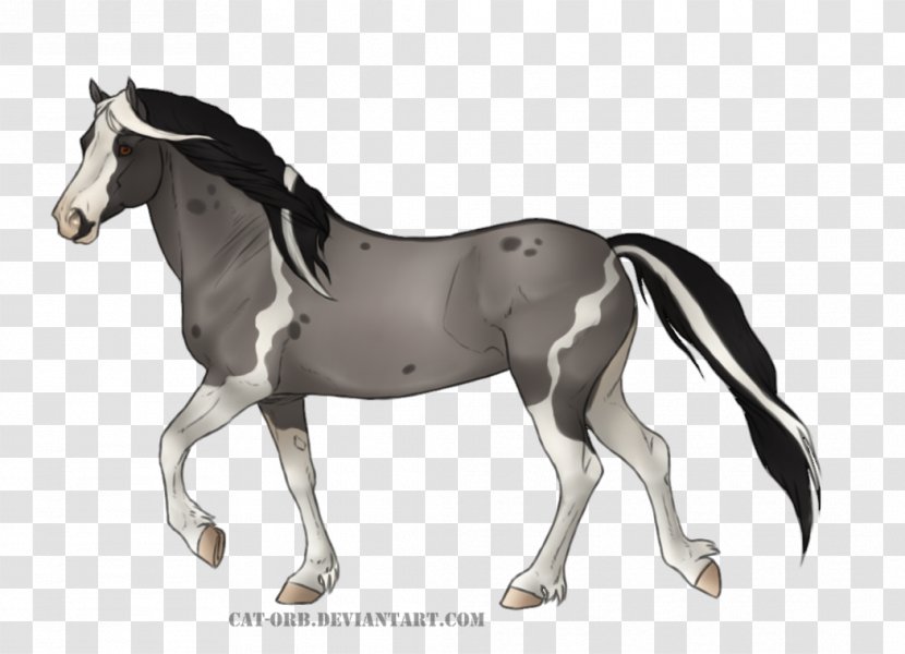Mane Mustang Foal Stallion Colt - Equestrian Transparent PNG