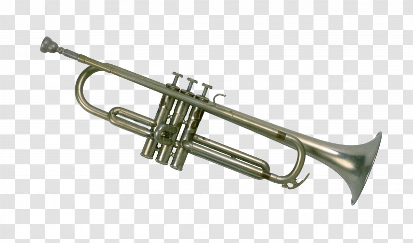 Trumpet Musical Instrument Trombone Brass Wind - Flower - Metal Instruments Transparent PNG
