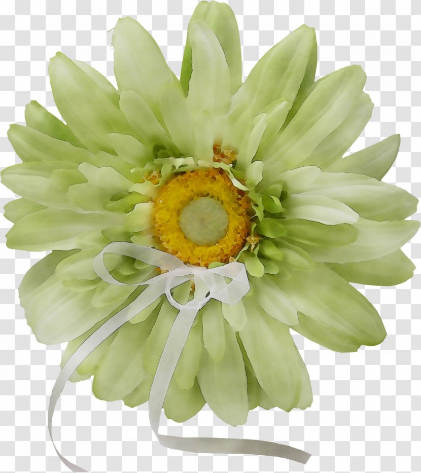 Transvaal Daisy Cut Flowers - Gerbera - Flowering Plant Transparent PNG