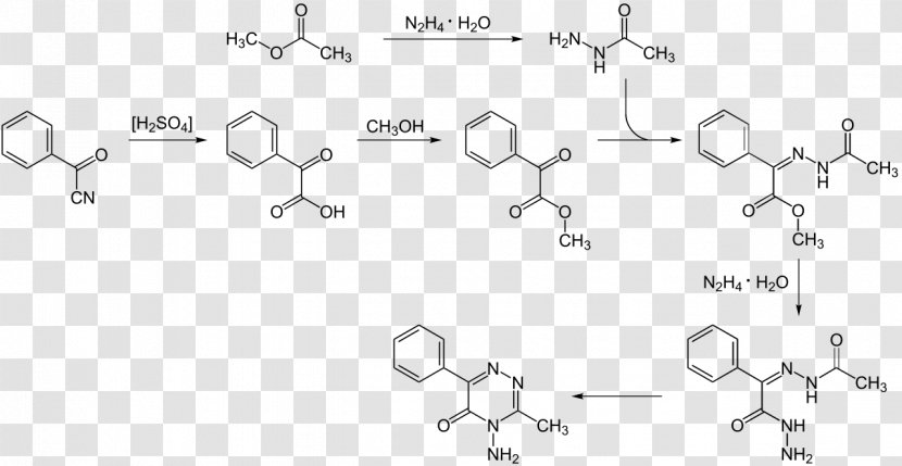Chrysin Flavones Chemical Compound Polyphenol Anticancéreux - Common Fig - Synthesis Transparent PNG