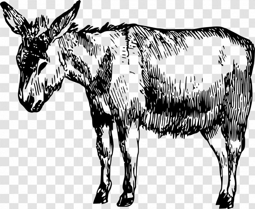 Drawing Donkey Art - Cow Goat Family Transparent PNG