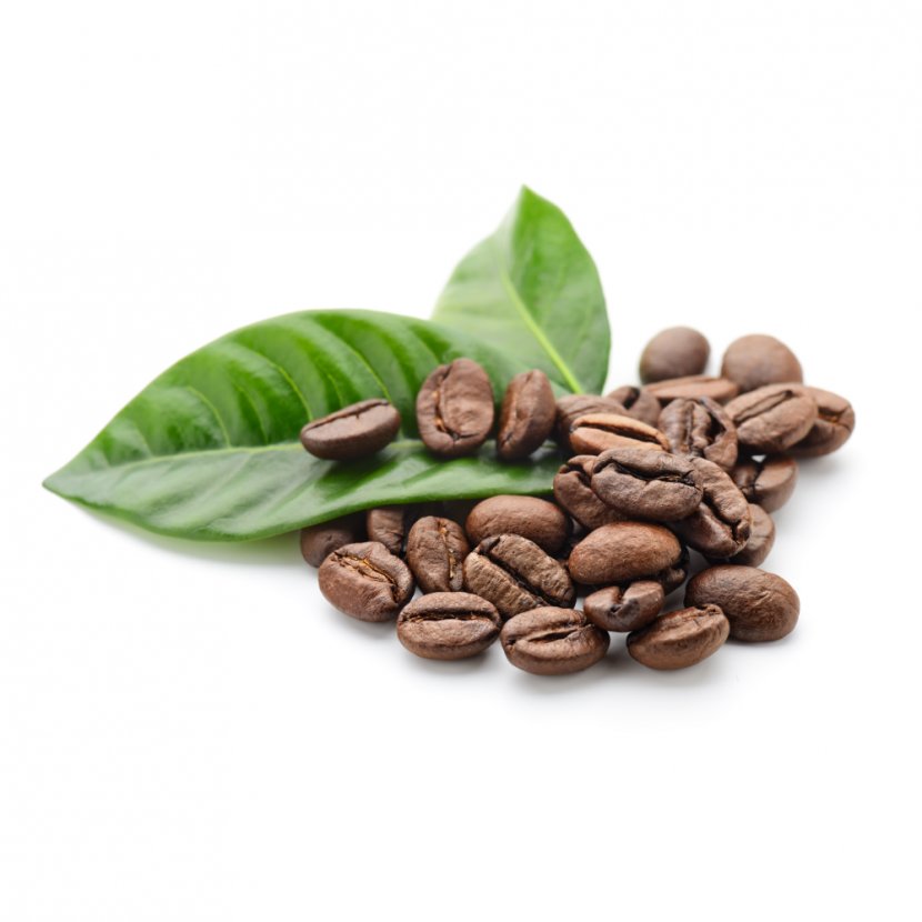 Coffee Bean Green Extract Roasting - Cocoa - Coffe Transparent PNG