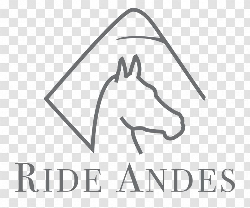 Horse Equestrian Logo Los Andes Cotopaxi - White Transparent PNG