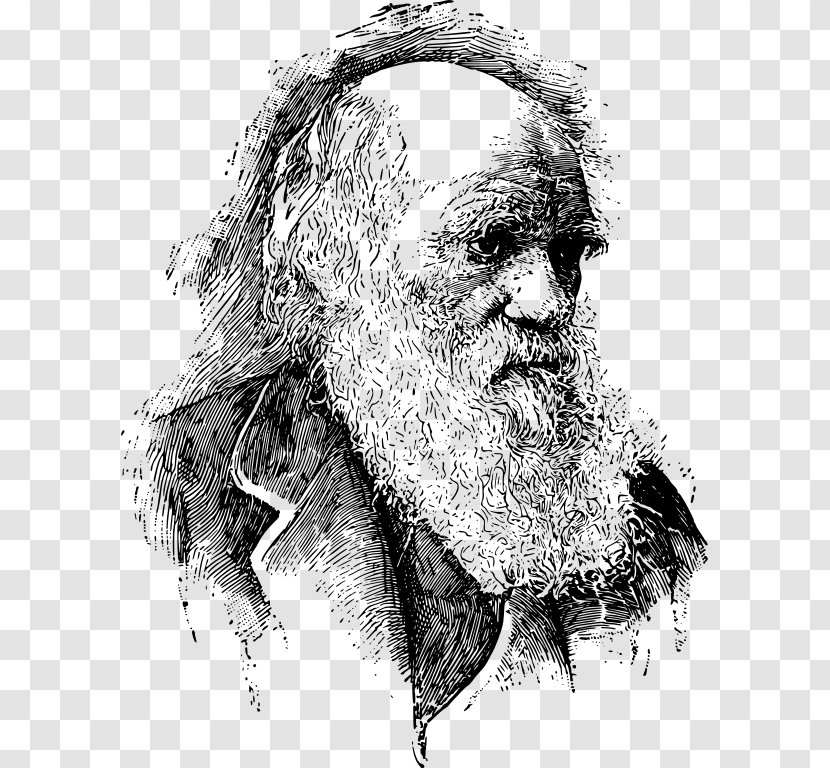 On The Origin Of Species Evolutionary Medicine Psychology Darwinism - Beard - Charles Darwin Transparent PNG