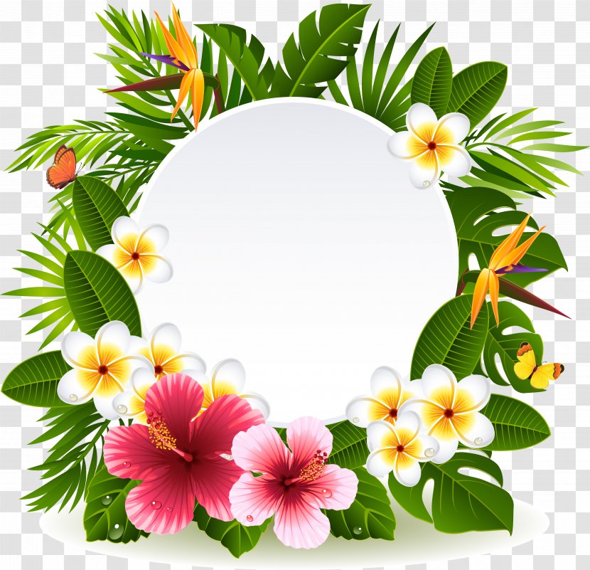 Flower Stock Photography Clip Art - Floral Design - Flowers And Foliage Decoration Vector Transparent PNG