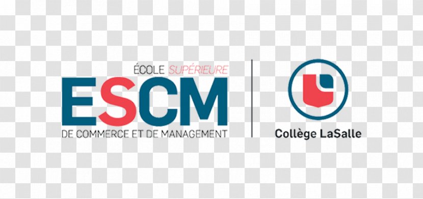 Logo Brand Product Design Font - Text - College Entrance Examination Transparent PNG