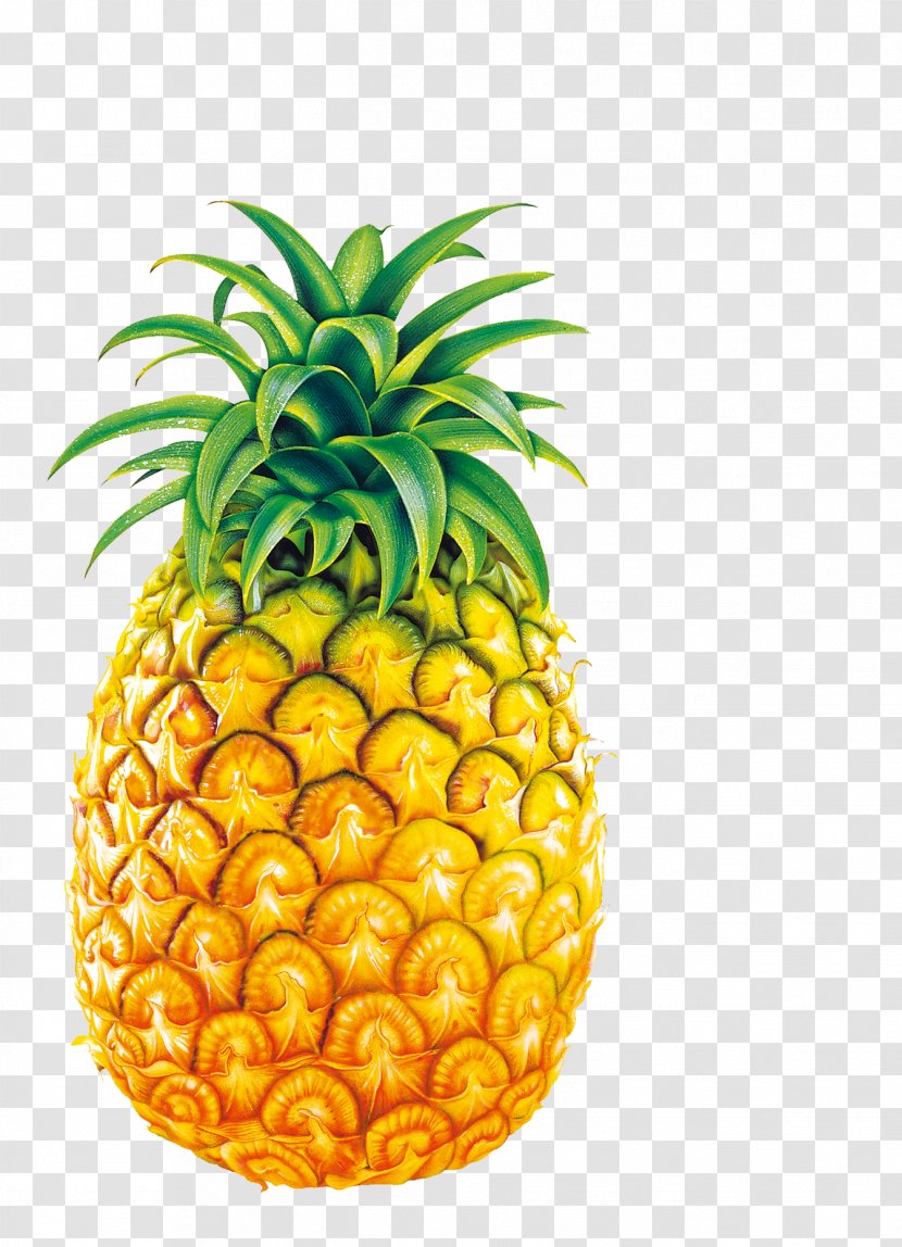 Pineapple Juice Fruit Bromelain Clip Art - Ananas - Big Transparent PNG