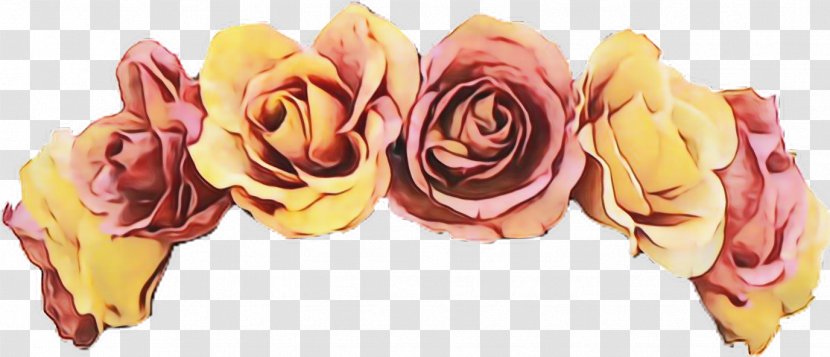 Garden Roses - Pink - Rose Order Petal Transparent PNG