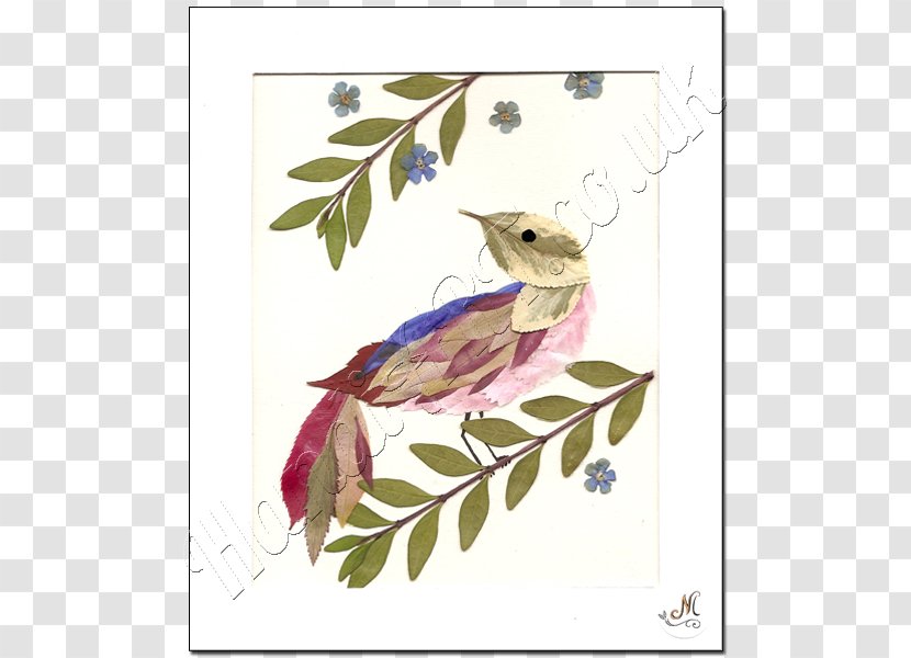 Beak Fauna Character Feather Flowering Plant - Flower Transparent PNG