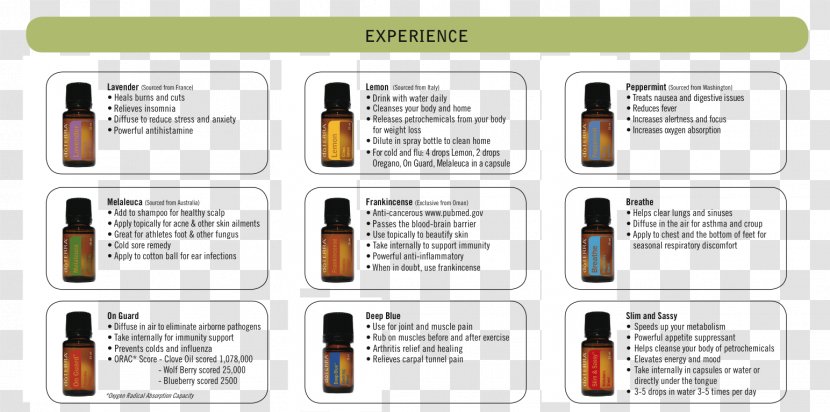 Essential Oil DoTerra Aromatherapy Young Living - Media Transparent PNG