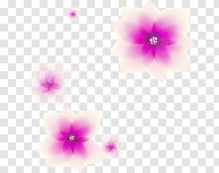 Petal Computer Pattern - Dream Will Lose More Than Words Transparent PNG