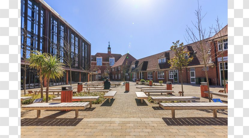 Brighton Hove & Sussex Sixth Form College Block Paving Antique Pavement Retro Style - Urban Design - Mixeduse Transparent PNG