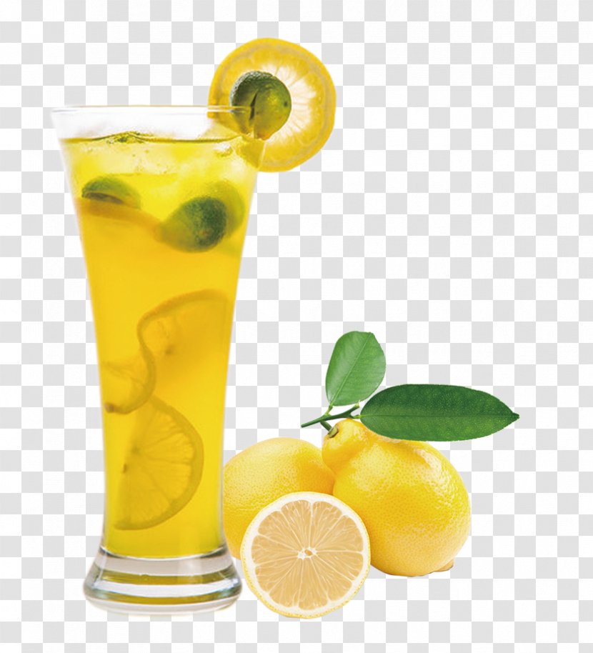 Juice Lemon Balm Extract Fruit - Lime Transparent PNG