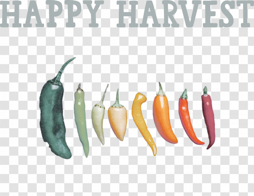 Happy Harvest Harvest Time Transparent PNG