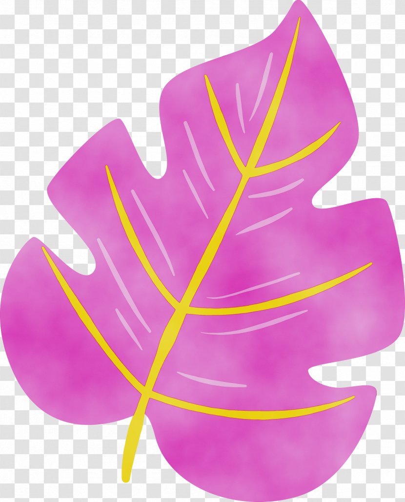 Summer Watercolor - Christian Clip Art - Herbaceous Plant Magenta Transparent PNG