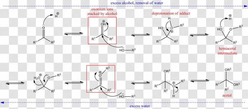 Hemiacetal Tetrahedral Carbonyl Addition Compound Group Hydrolysis - Number - (corresponding Transparent PNG