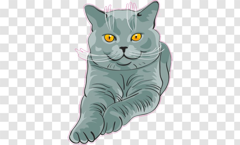 British Shorthair Russian Blue American Kitten - Drawing Transparent PNG