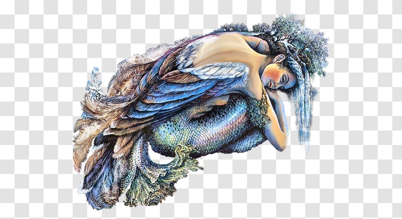Fantasy PSP Blog Legendary Creature - Dream - Mermaid Template Transparent PNG