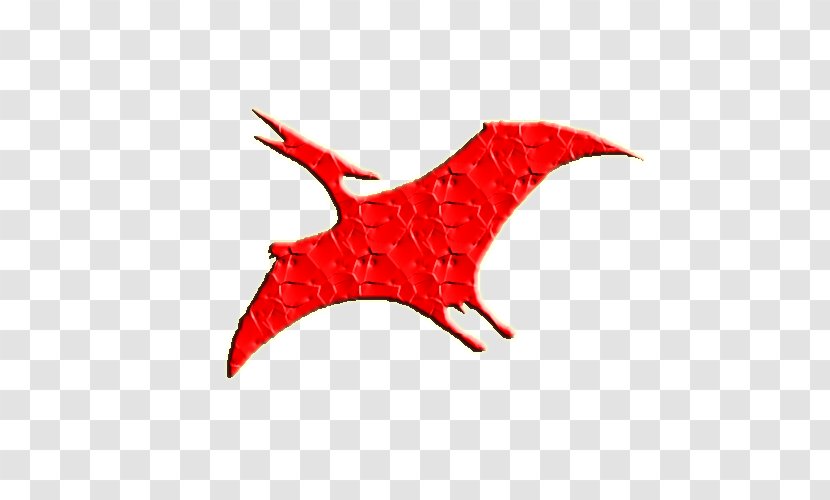 RED.M - Wing - Pteranodon Transparent PNG