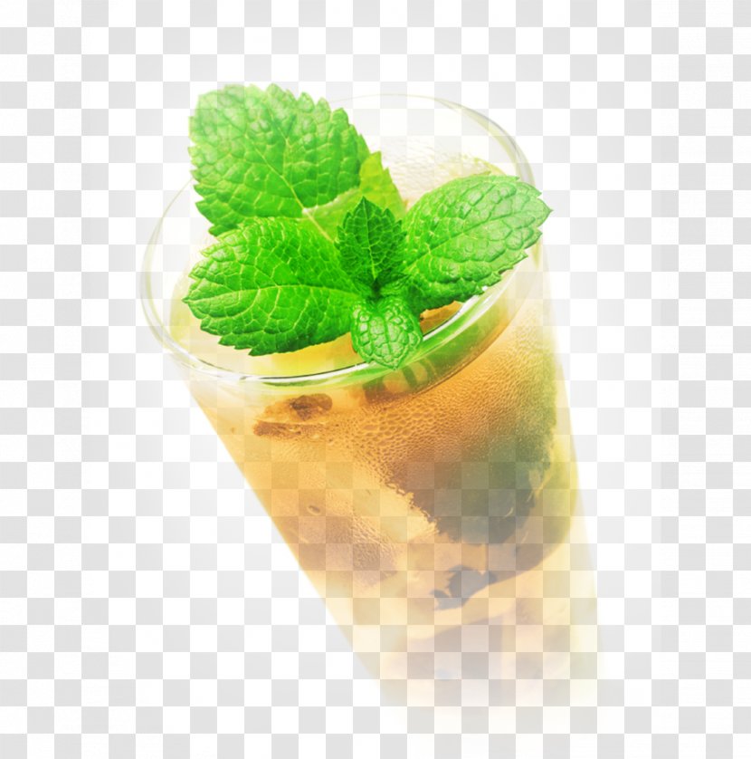 Mojito Mint Julep Cocktail Mai Tai Brandy Transparent PNG