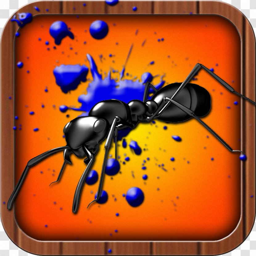 Insect Cartoon Pollinator Font - Arthropod - Ant Transparent PNG