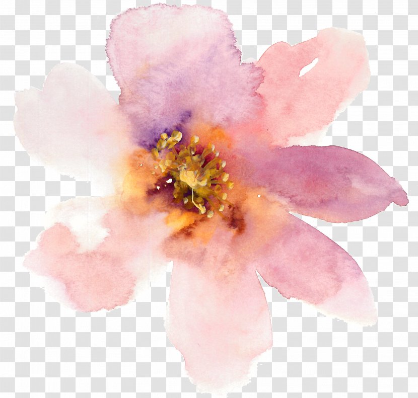 Watercolor Painting Flower - Rose Family - Pale Pink Gouache Flowers Creative Transparent PNG