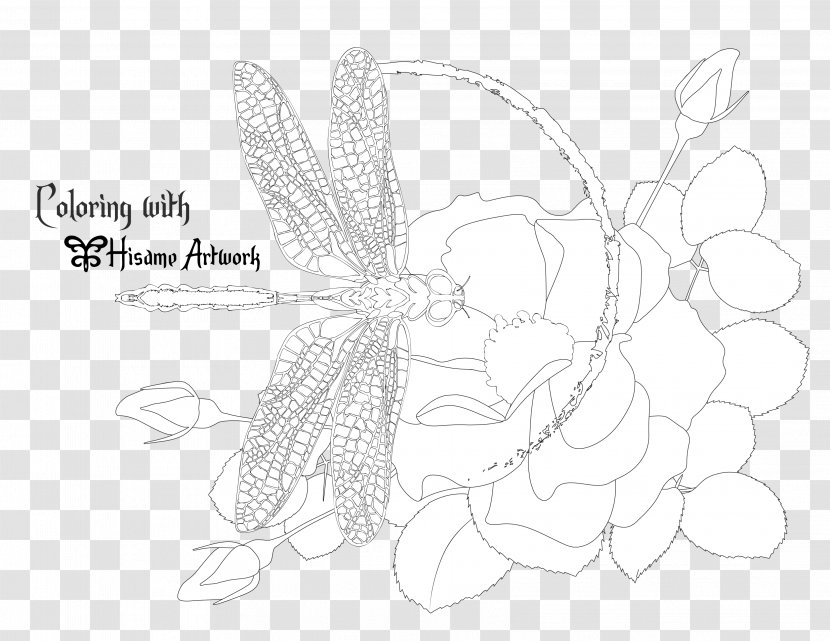 Sketch Graphics Line Art Visual Arts Illustration - Butterfly - Dragonfly Transparent PNG