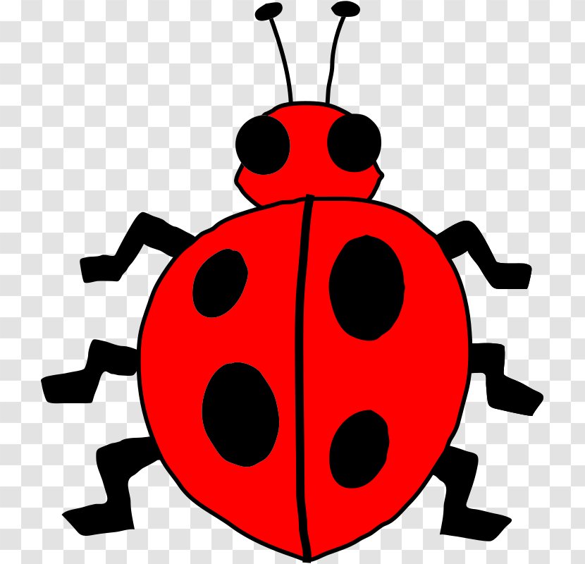 Clip Art - Ladybird Beetle Transparent PNG