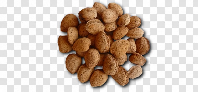 Mixed Nuts Tree Nut Allergy Peanut VY2 - Food - Seeds Transparent PNG