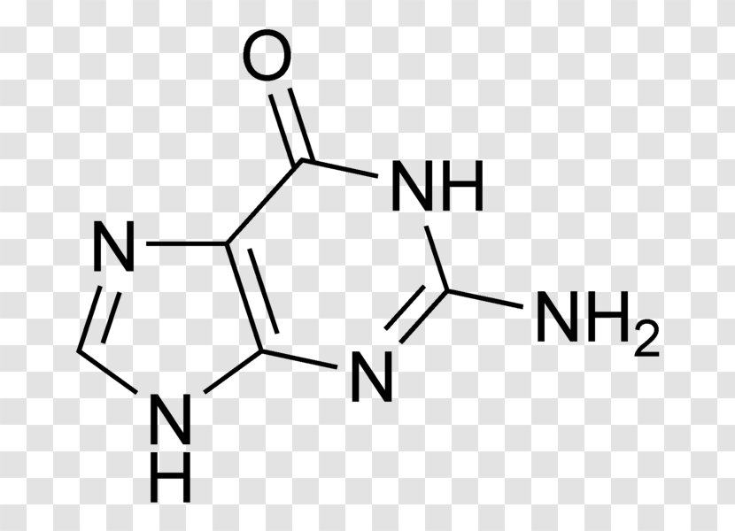 Guanine Adenine Guanosine Monophosphate Cytosine - Tree - Chemical Transparent PNG