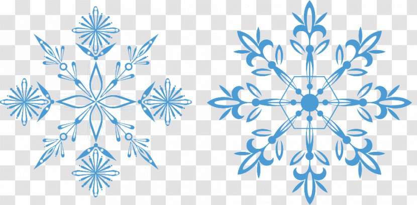 Snowflake Euclidean Vector - Blue Transparent PNG