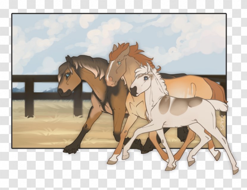 Mustang Foal Mare Stallion Colt - Fauna Transparent PNG