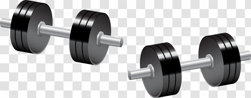 Dumbbell Weight Training Barbell Bodybuilding - Exercise Equipment Transparent PNG