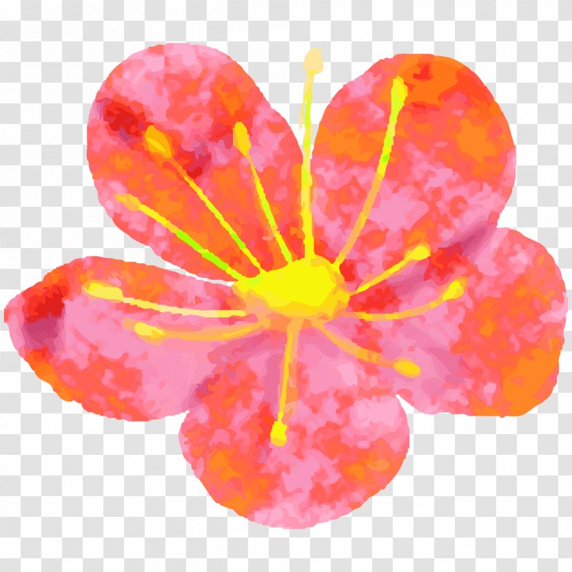 Petal Art Plum Blossom - Design Transparent PNG