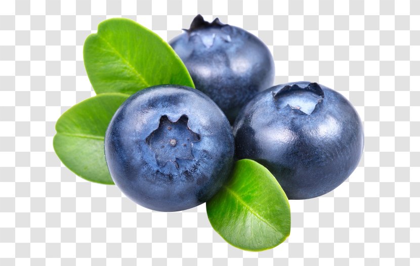 Smoothie Frutti Di Bosco Blueberry Vaccinium Angustifolium - Tea - Fresh Blueberries Transparent PNG