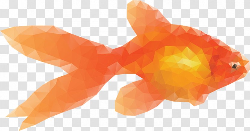 Carassius Auratus Pixabay Clip Art - Fish - Diamond Decoration Goldfish Transparent PNG