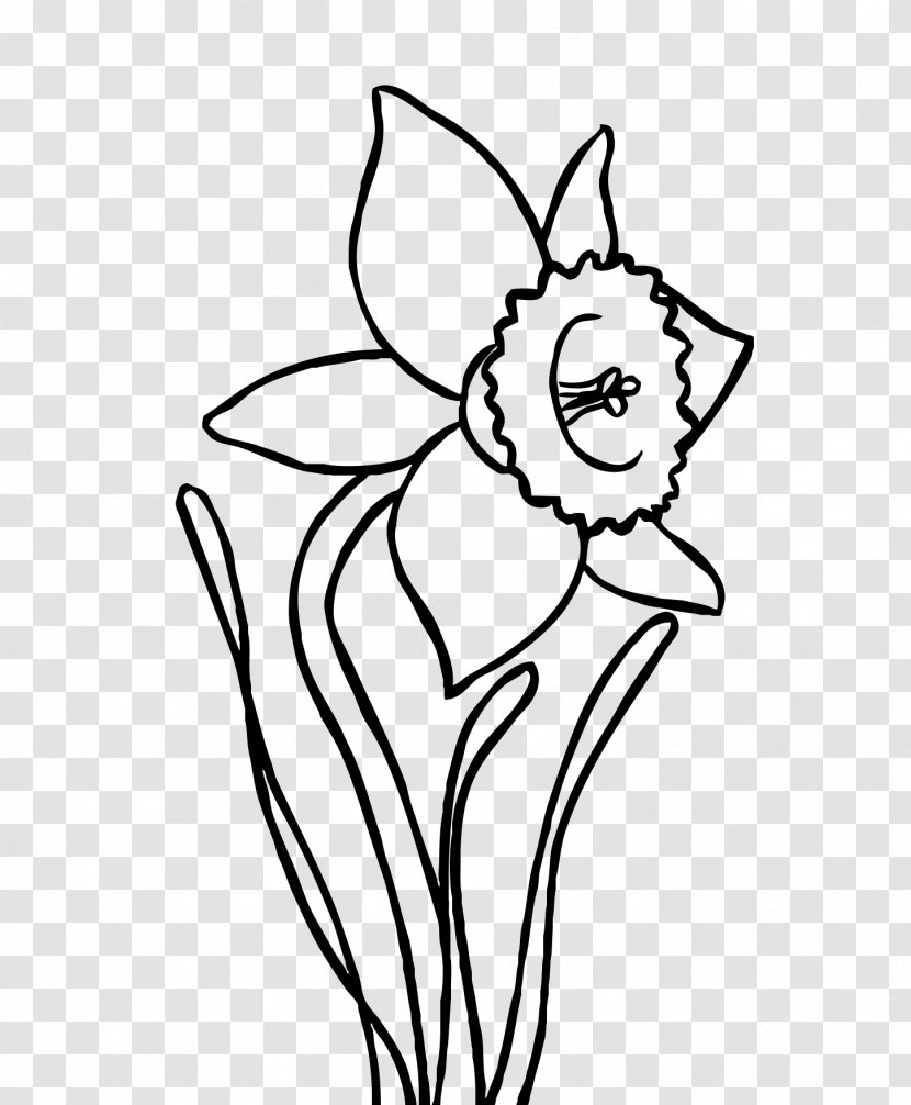 Coloring Book Drawing Narcissus Papyraceus Clip Art - Tree - Camomile Transparent PNG