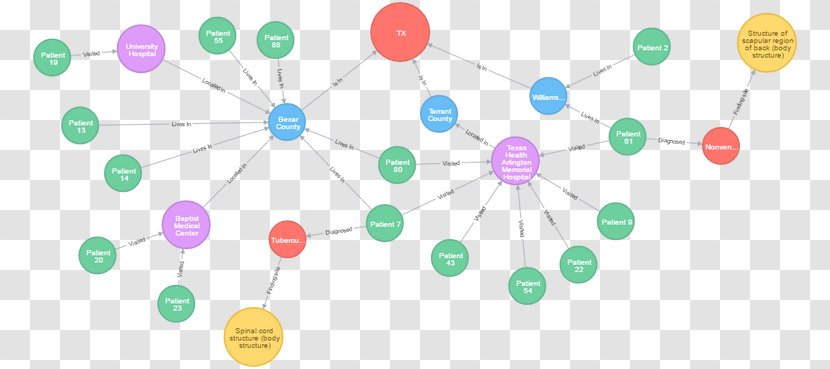 Neo4j Graph Of A Function Database - Diagram Transparent PNG