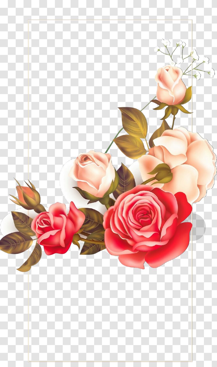 Garden Roses - Rose - Petal Bouquet Transparent PNG