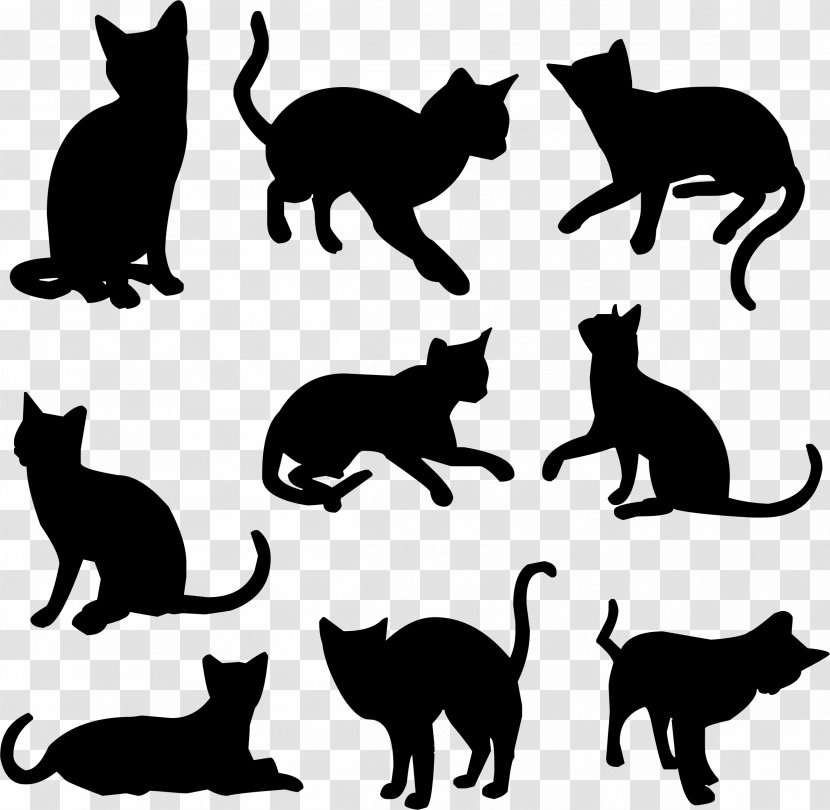 Black Cat Kitten Felidae Silhouette - Vector Transparent PNG