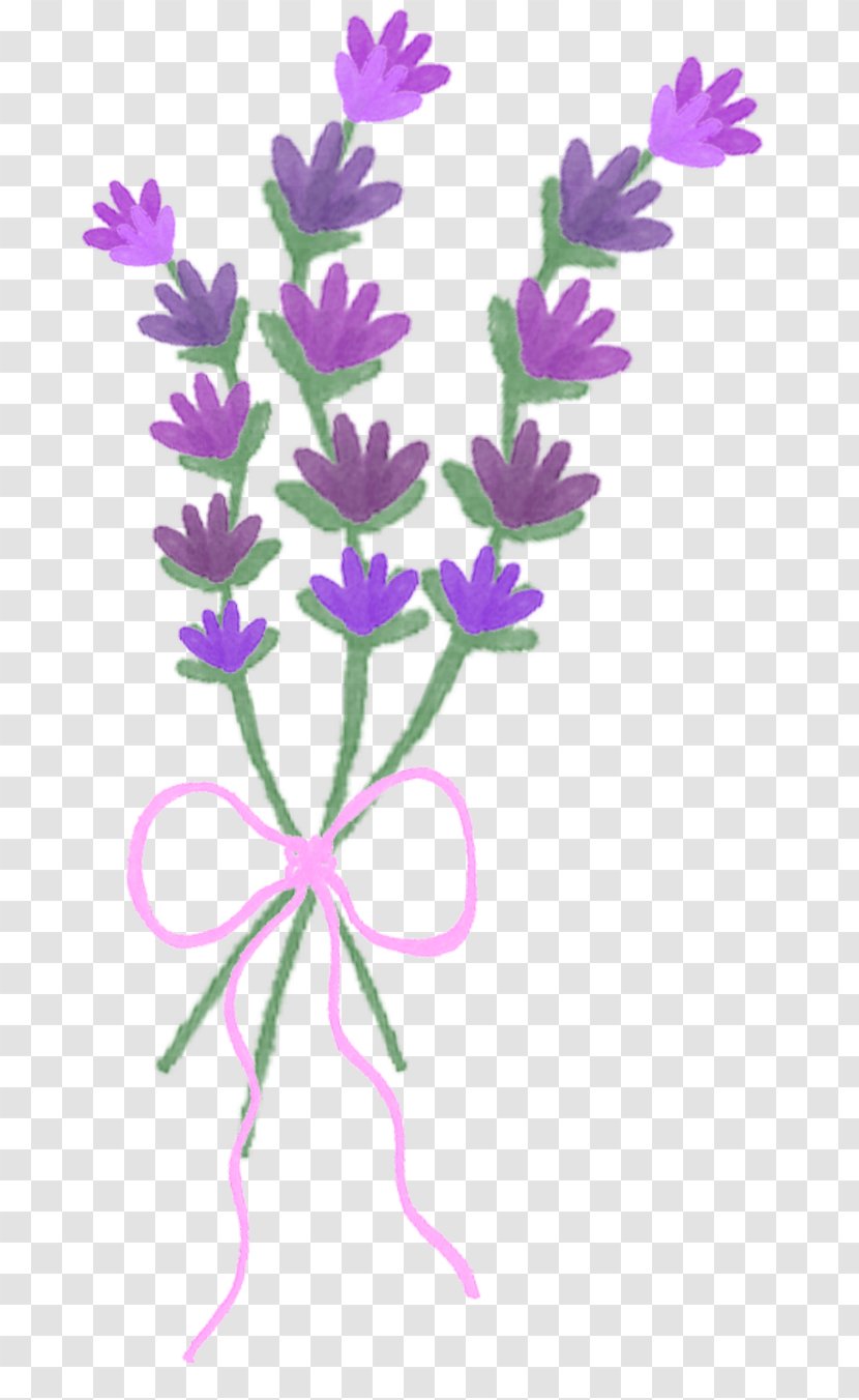 Lavender Plant Stem Herbaceous - Lawenda Transparent PNG