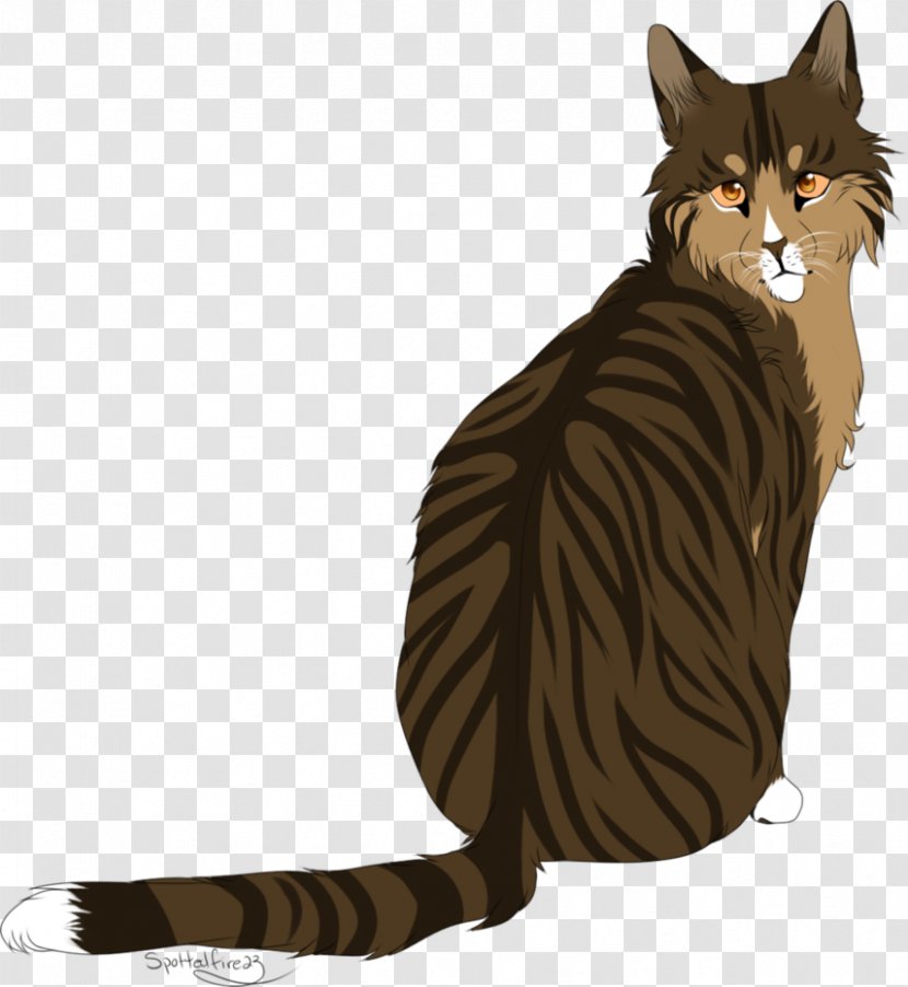Whiskers Domestic Short-haired Cat Tabby Wildcat - Cartoon Transparent PNG