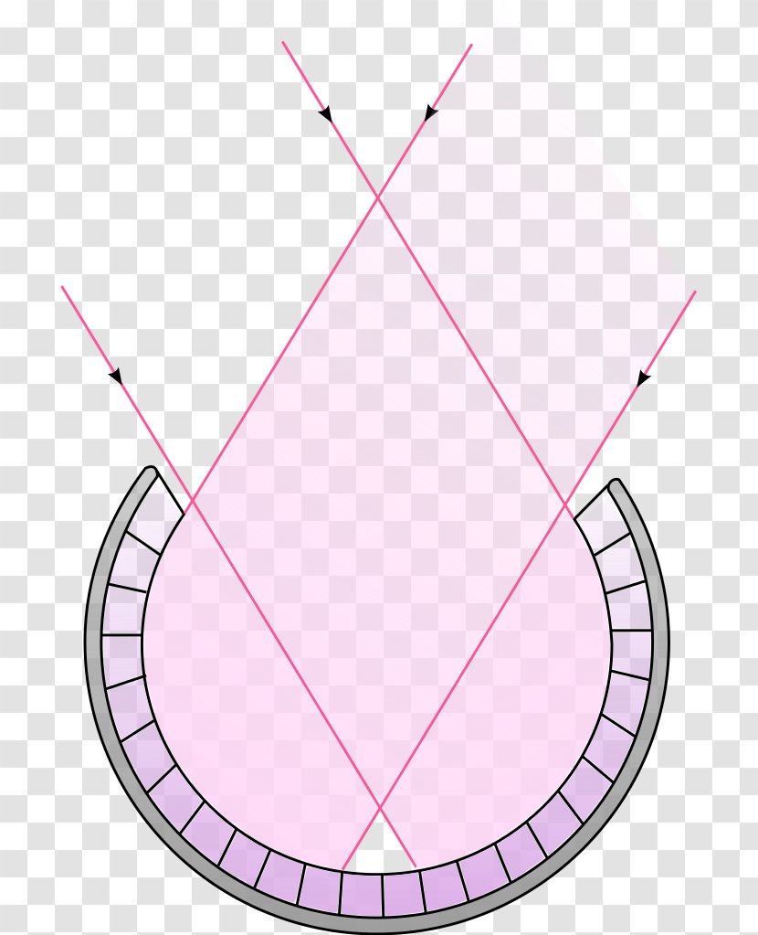 Evolution Of The Eye Gastropods Sensory Nervous System Cephalopod - Olfaction - Pitbull Transparent PNG